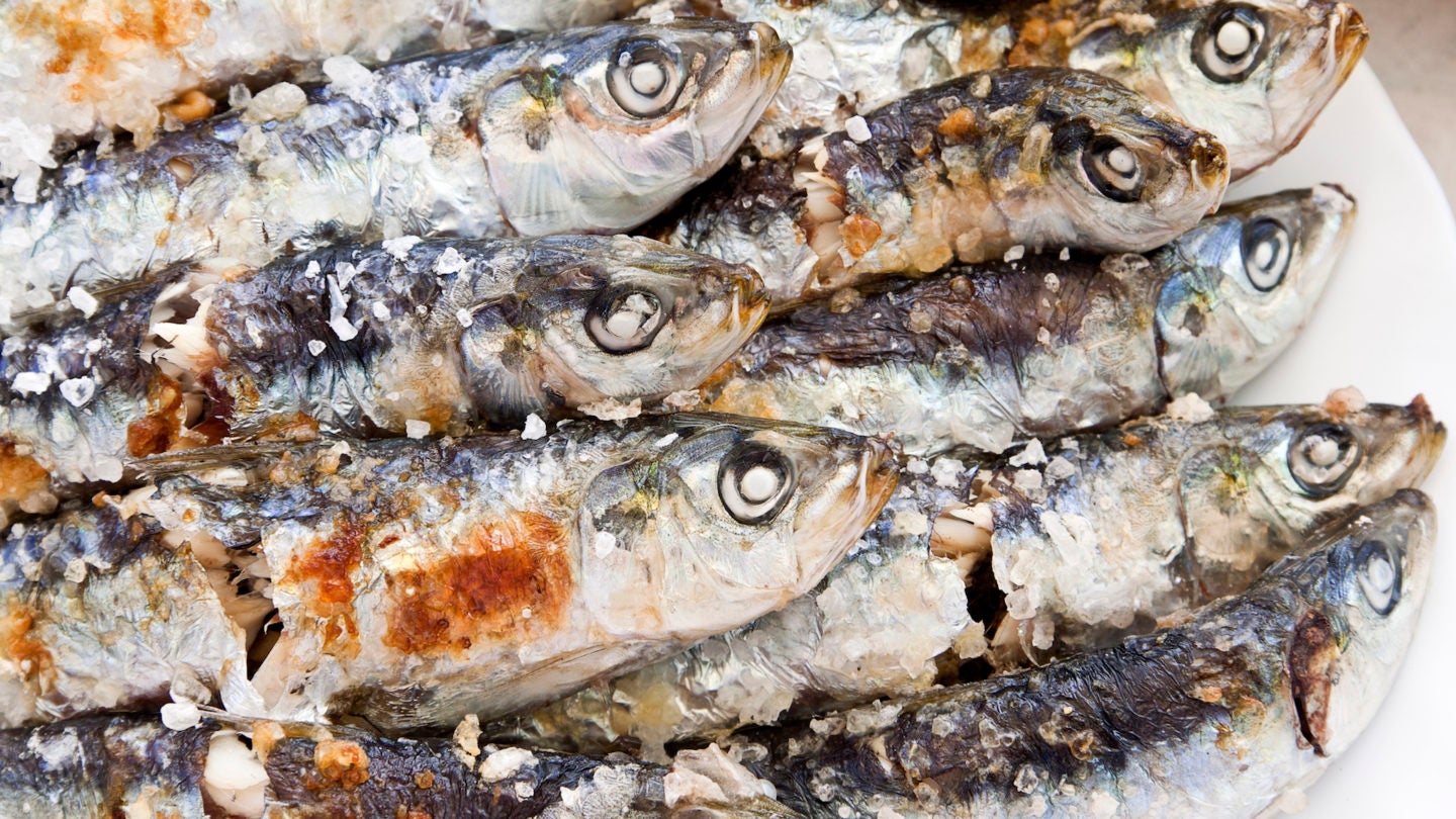 Espeto sardines