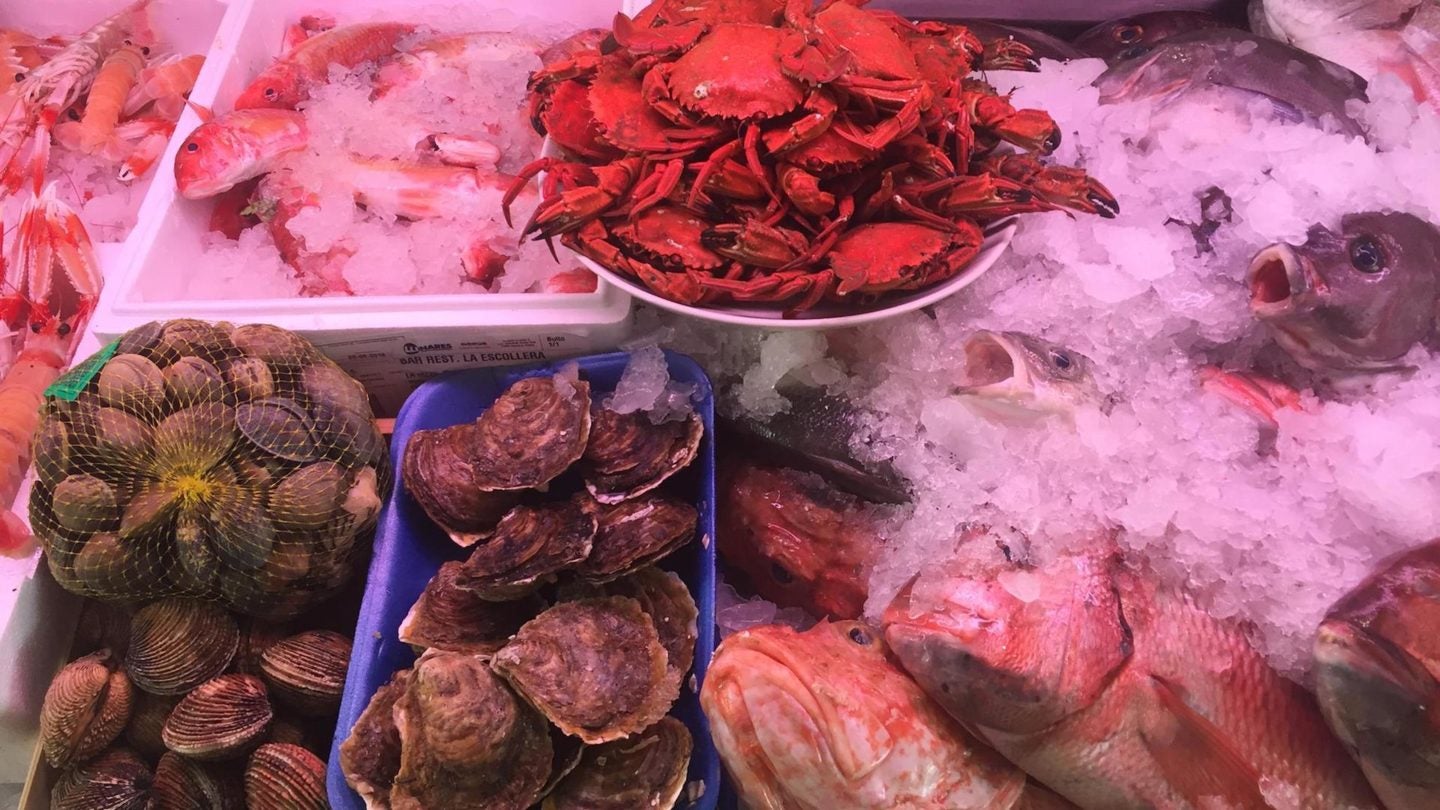 la escollera estepona