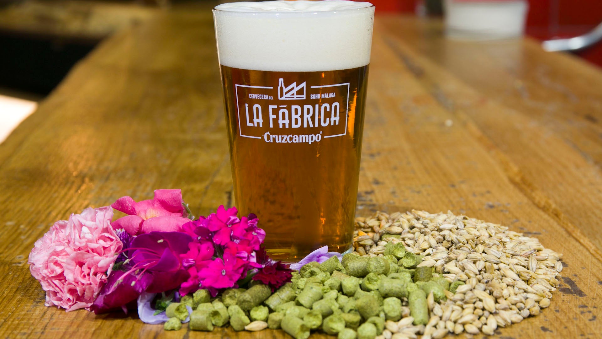 cervezas artesanales en la fabrica cruzcampo malaga