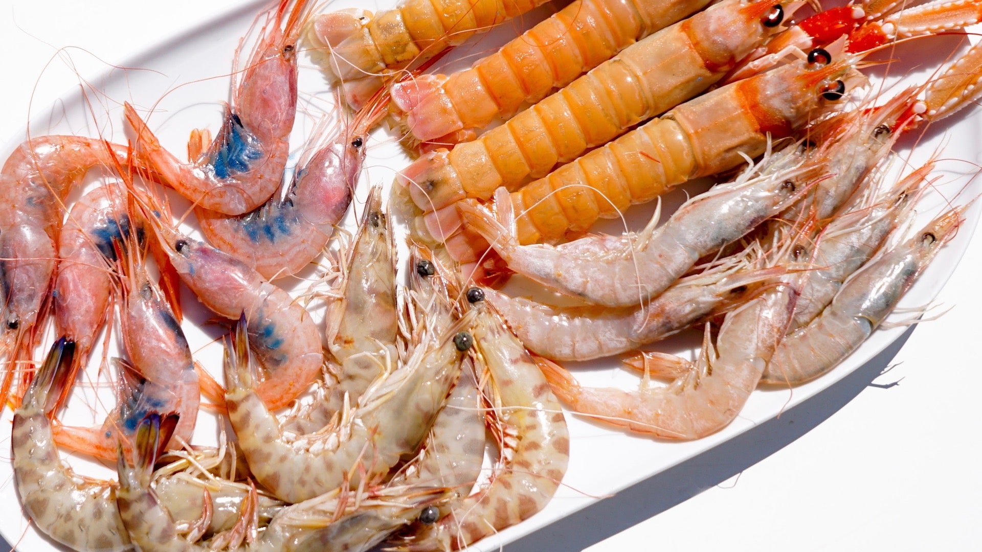 12 marisquerías imprescindibles en la Costa del Sol