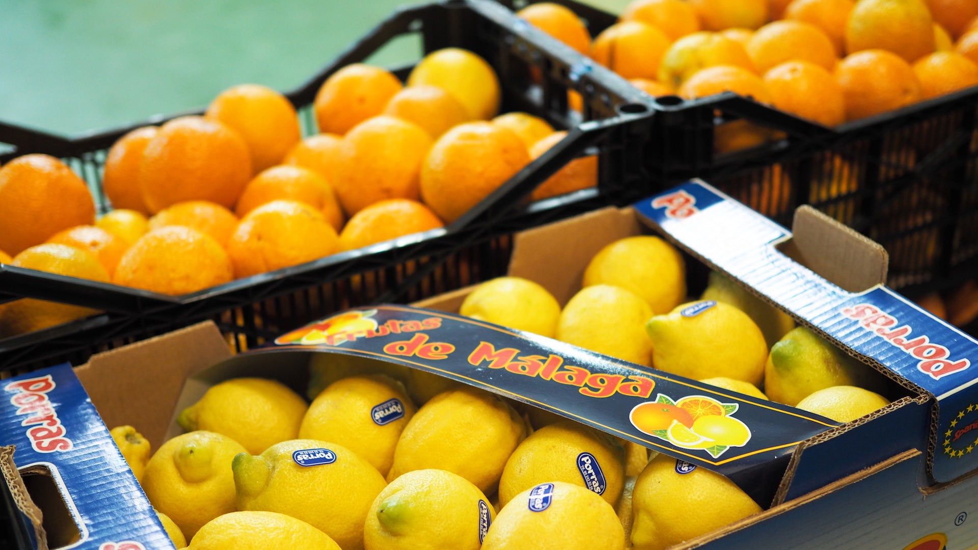 frutas y verduras eladio