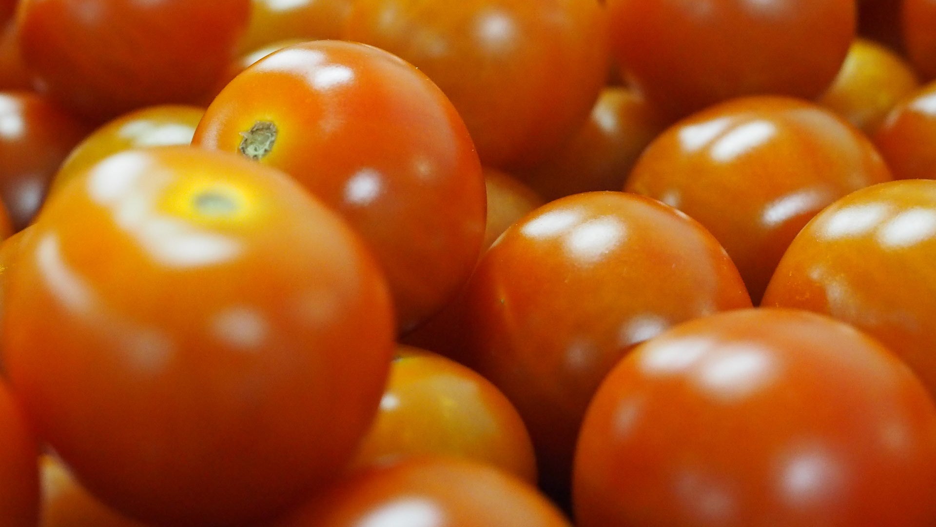 frutas y verduras eladio