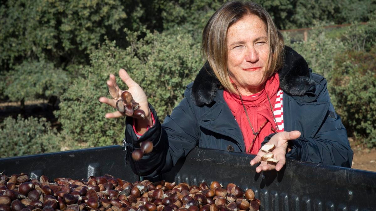 Chelo Gámez posa con las castañas con las que alimentan a sus cerdos durante la 'premontanera', un fruto que otorga un dulzor especial a los ibéricos de Dehesa de los Monteros (F. Silva).