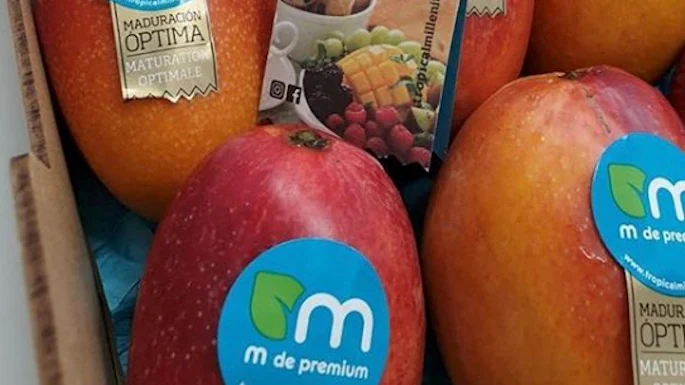 Go Fresh mercado móvil ofrece frutas y verduras frescas