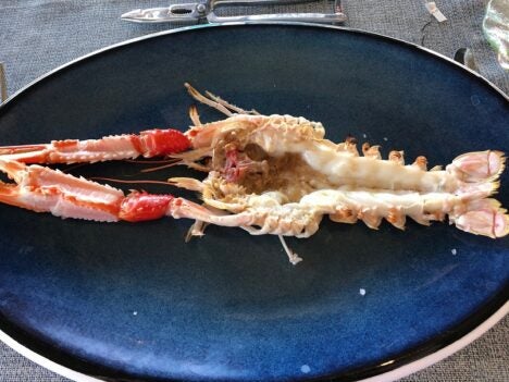 Cigala de Marbella a la brasa (Carlos Maribona).