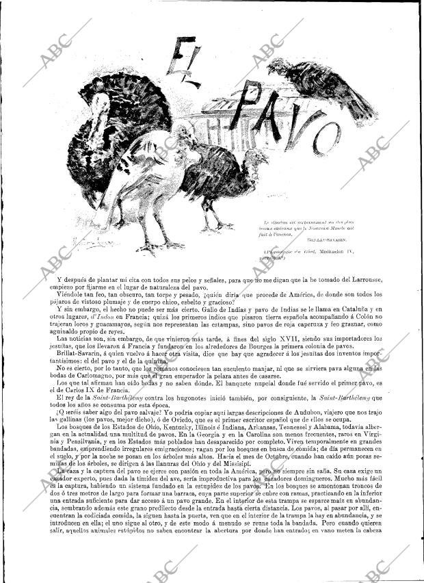 BLANCO Y NEGRO MADRID 29-12-1894 página 14