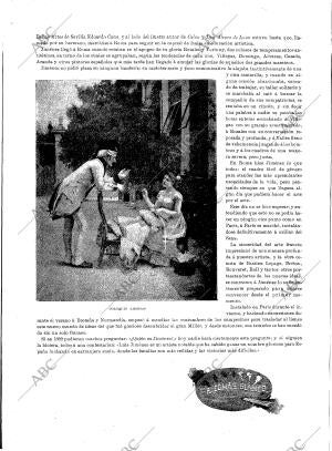 BLANCO Y NEGRO MADRID 22-02-1896 página 10