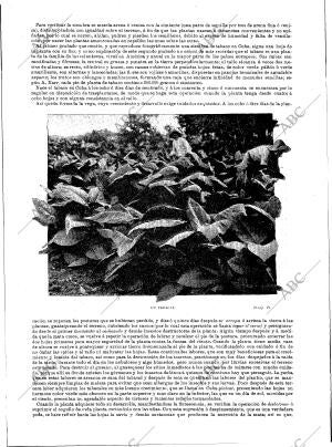 BLANCO Y NEGRO MADRID 21-03-1896 página 5