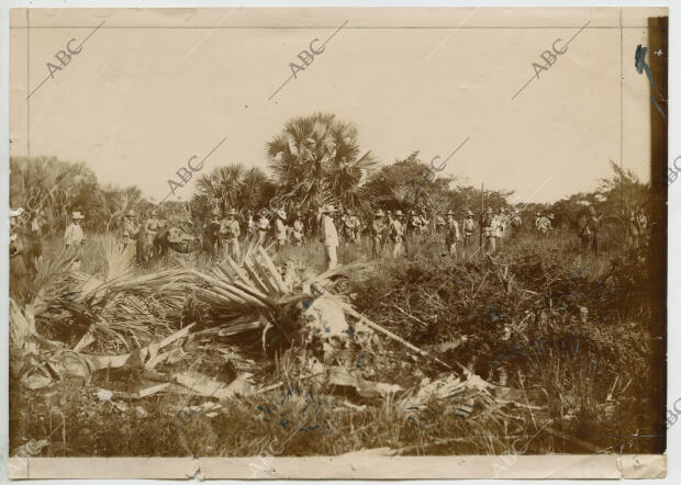 Chapeo de la manigua en la trocha de Júcarro a Morón