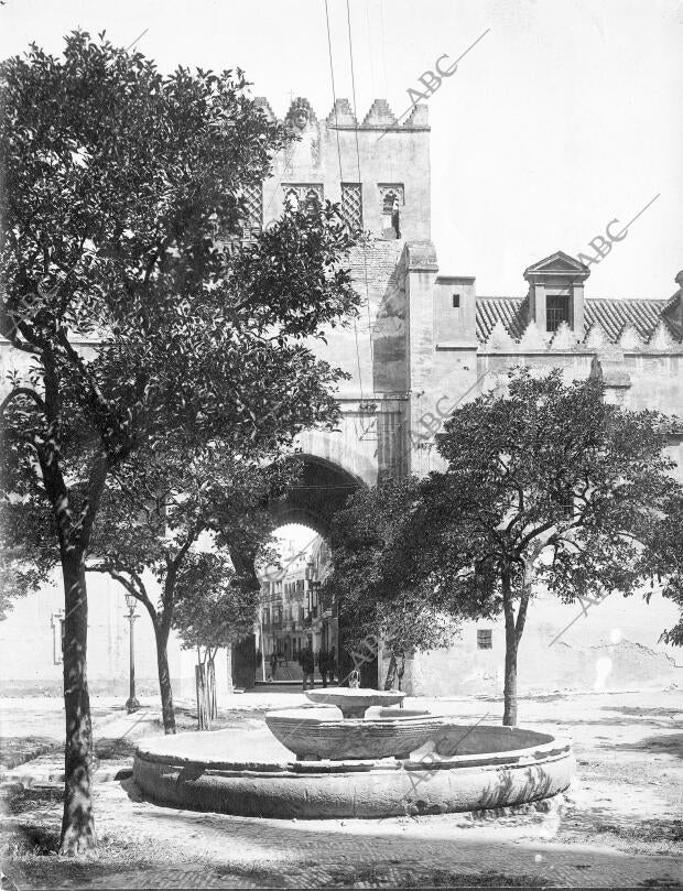 Patio de los Naranjos de la catedral A Principios del siglo Xx