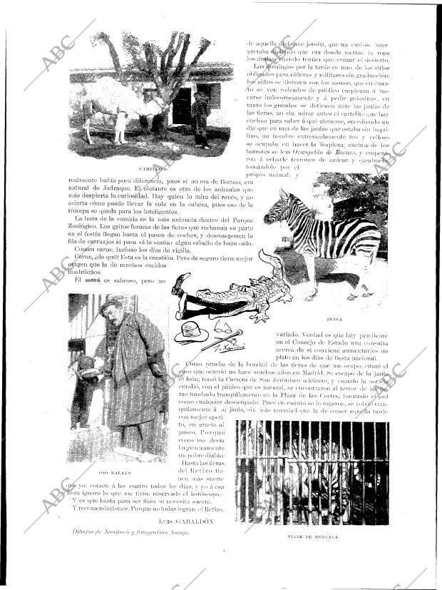 BLANCO Y NEGRO MADRID 13-01-1900 página 8