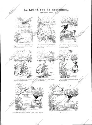BLANCO Y NEGRO MADRID 17-02-1900 página 8