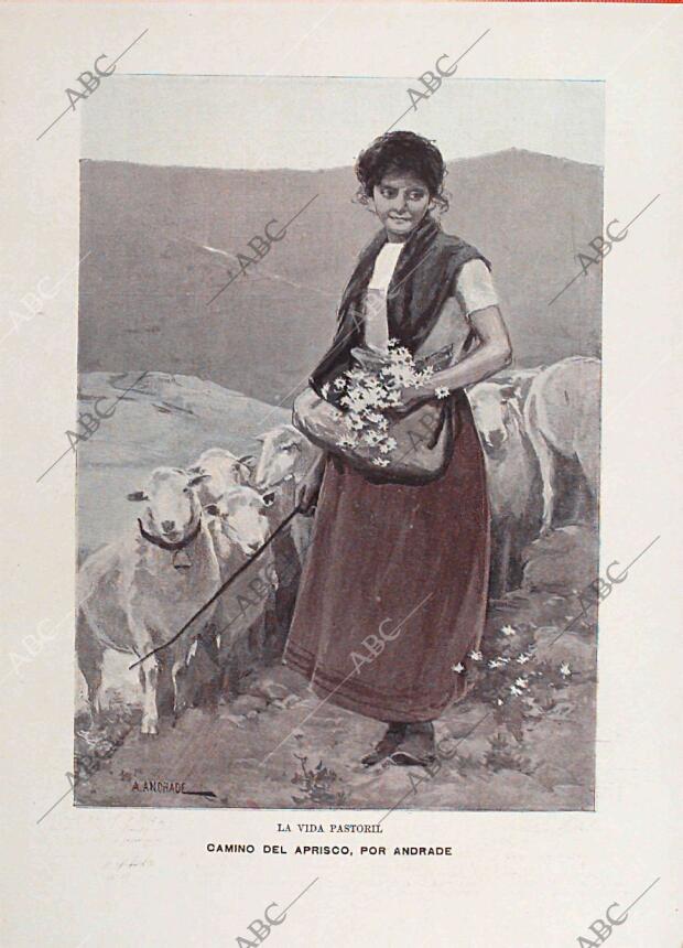 BLANCO Y NEGRO MADRID 01-07-1900 página 19