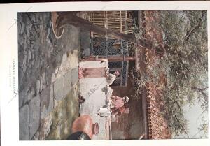 BLANCO Y NEGRO MADRID 13-09-1902 página 21