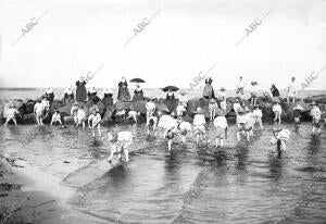 Los Niños en el mar el sanatorio de romero de Valencia, Debería ser...