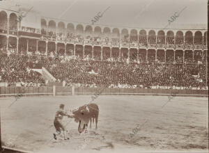 Vista interior de la plaza de Toros durante la función Regia de ayer Tarde...