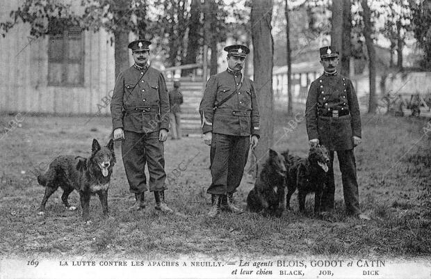 Concurso de Perros Policías que se Inició en el campo de marte de París y...