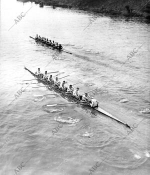 Los Equipos de las dos Celebres Universidades durante la regata que Terminó con...