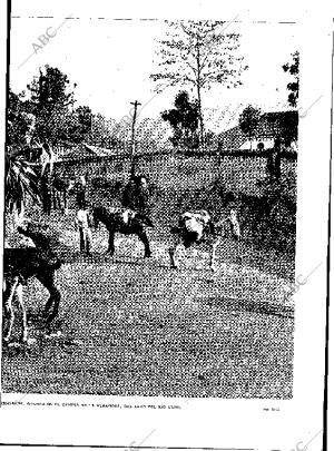 BLANCO Y NEGRO MADRID 13-02-1909 página 15