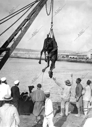 Desembarco de los Camellos en el muelle militar por medio de la grúa Denominada...