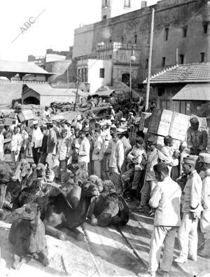 Aspectos del muelle militar de Melilla durante el desembarco de los Camellos...