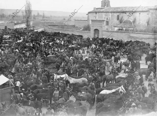 Aspecto general del ferial de Ganados