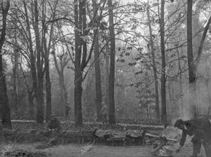 (CA.) Limpieza de hojas en el Parque del Retiro