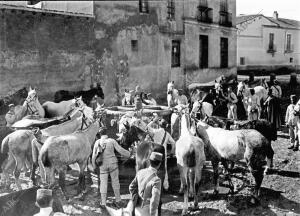 Soldados de los Escuadrones que Acaban de regresar de Melilla Dando agua al...