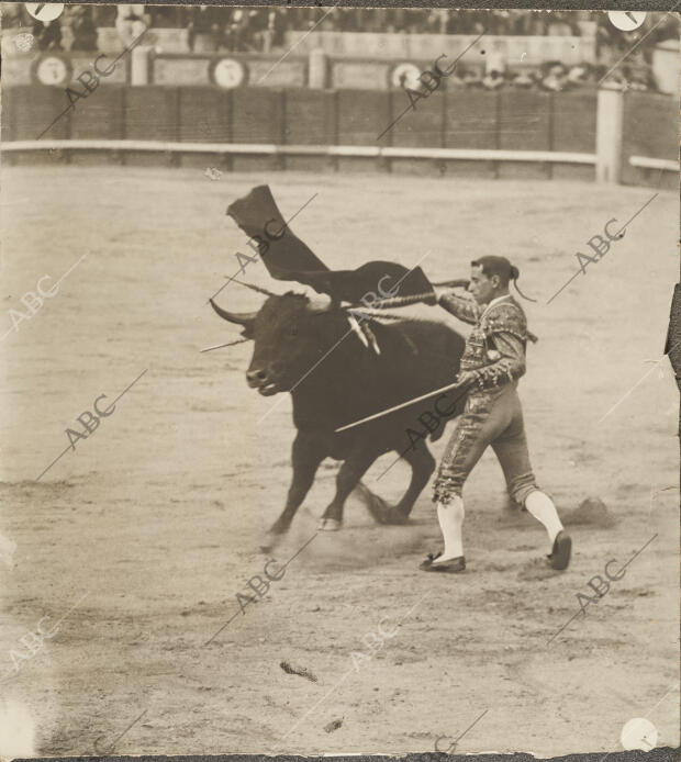 Vicente pastor pasando de muleta a uno de los toros lidiados en la fiesta a...