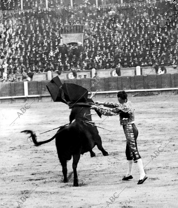 La novillada de ayer tarde en Madrid el nuevo matador Rafael Gómez Brailey en...