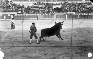 Vicente pastor al terminar un pase al Toro primero