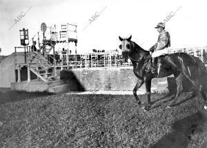 Caballo "Jobber" del Marqués de Martorell que Ganó el premio de 1500 Pesetas en...