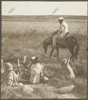 el cónsul de Larache Sr. Zugasti Llegando A caballo al campamento de Nador