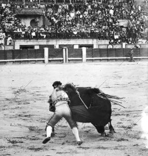 Novillada en Madrid Alfonso Cela (Celita) Pasando de muleta A su primer Toro