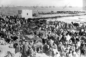 Organización de una caravana de Habitantes de trípoli que Marcharon tierra...