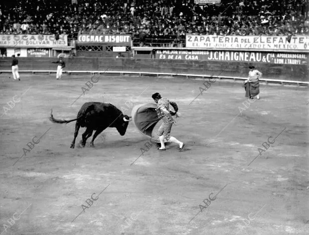 El diestro mejicano Rodolfo Gaona Toreando de Capa