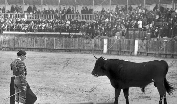 Gregorio garrido Citando para un pase de Muletas