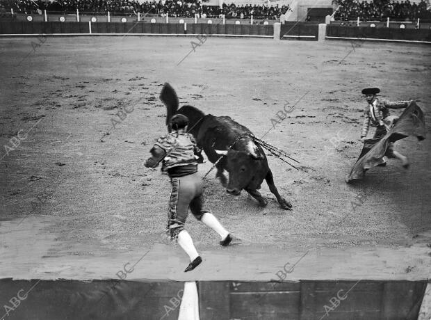 Carabanchel. Frutitos Pasando de muleta