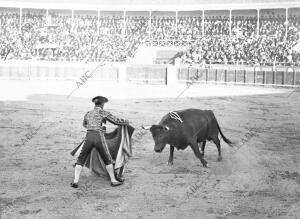 Carabanchel. Una Verónica de Moreno de Algeciras