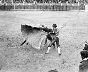 Francisco Pérez "el Aragonés", Lanceando de capa