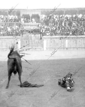 Tetuán (Madrid). Un revolcón del espada Minerito