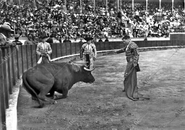 Manolete Viendo caer A uno de sus Toros