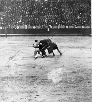 El matador Rafaél Gómez (Gallito) en un pase por bajo al primero de los Toros...