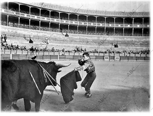 Manuel García bejarano en el segundo Toro