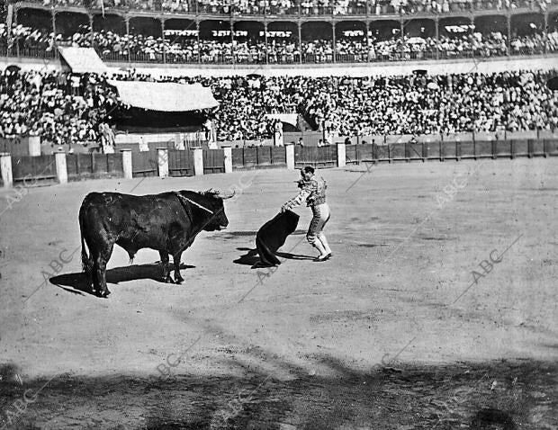 Rafael Gómez (Gallito) Entrando A Matar