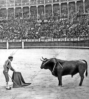 El diestro madrileño Tomás Alarcón (Mazzantinito), Pasando de muleta A su...