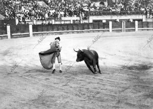 El diestro Eusebio Fuentes Toreando de capa