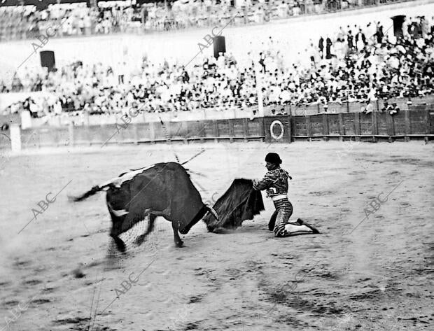 Paco Madrid en el cuarto Toro