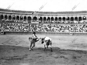 Vargas Ii Toreando de capa