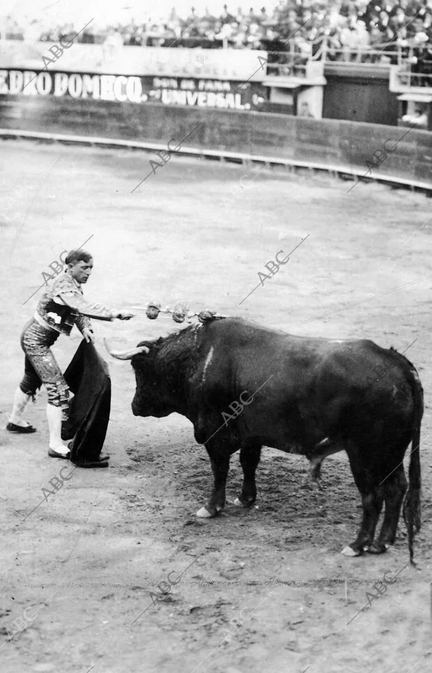 Cocherito de Bilbao Sacando el estoque para descabellar en la corrida Celebrada...